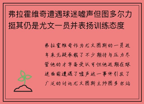弗拉霍维奇遭遇球迷嘘声但图多尔力挺其仍是尤文一员并表扬训练态度