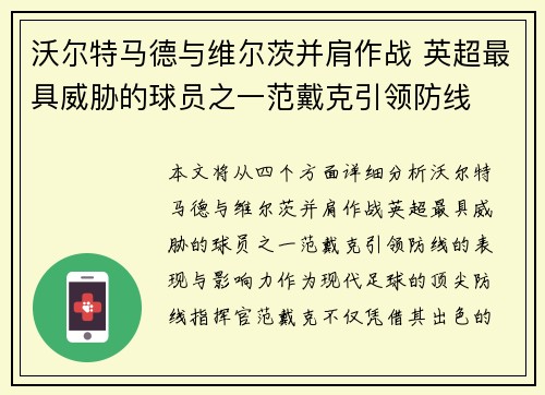 沃尔特马德与维尔茨并肩作战 英超最具威胁的球员之一范戴克引领防线